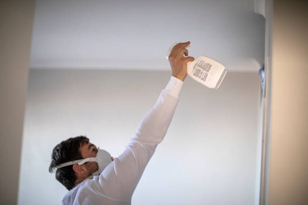 Best Best Mold Removal Companies  in Gustine, CA