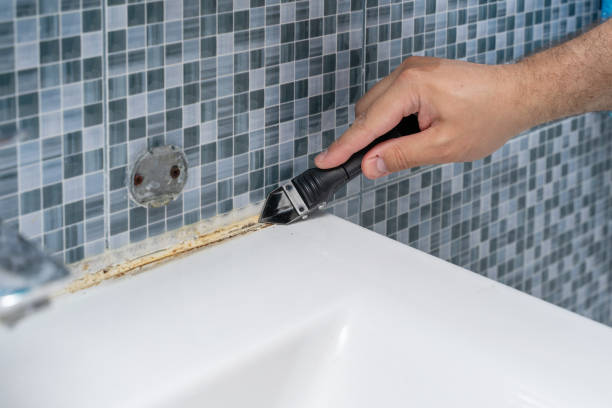 Best Mold Cleaning Services  in Gustine, CA