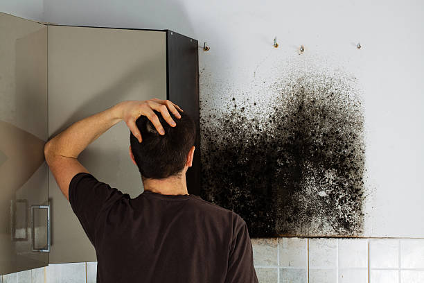 Best Commercial Mold Removal  in Gustine, CA